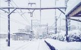 雪に埋もれない強い鉄道です。