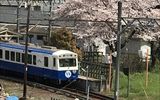 日永駅の見事な桜に見とれます。<br />
出発だよ     了解!     信号よ〜し!