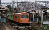 横断中のネコちゃん　運転手さんやさしく発車待っておられました