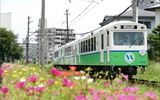 夏に咲く花の少ない時期手入れの行き届いた会社の職員駐車場は花盛りでしたのでパチリ