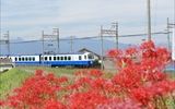 沿線に彼岸花が咲き誇る爽やかな日曜日