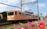 ポーチュラカ花言葉は「いつも元気」あすなろう鉄道にピッタリ！！